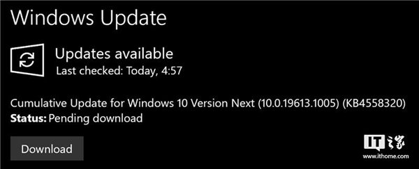 Build 19613.1005