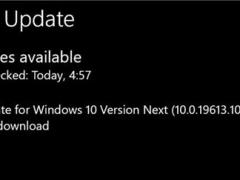 Win10ԤBuild 19613.1005