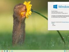 Win10 2004Msdnٷʽ澵أ汾19041.208