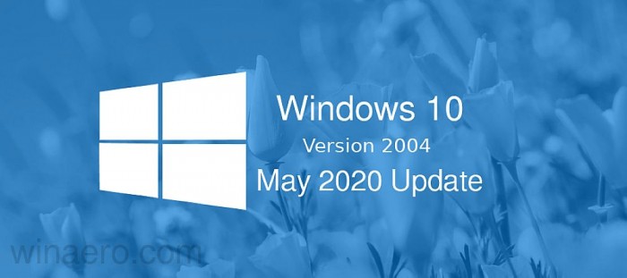 Win10 Build 19042.48819041.488