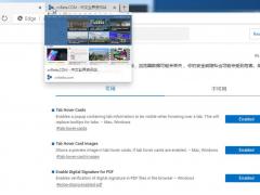 Win10 Edge Canary֧ͣǩҳԤ