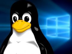 ѵ٩Win10õLinuxа