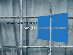 Win10 21H1  Build 20241Ԥ