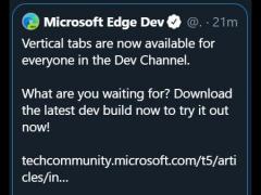 Win10 Edge Dev潫ʹôֱǩ