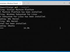Win10 Build 20246ŻWSLԶװLinuxа汾