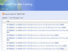 Win10 KB4577586ǿжFlashKB4577586