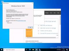 Windows Server 2022ԤWin10 21H1