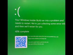 Win11/BSOD汣Win10