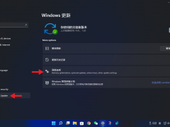 Win11ԤعWin10ʱֻʣ3