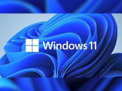 ΢Windows 11ϵͳҪ