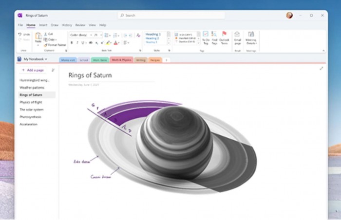 ΢̭OneNote for Windows 10