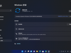 Win11 Build 22000.120ISOļ