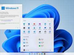 Windows 11 on Reactȫϵͳ
