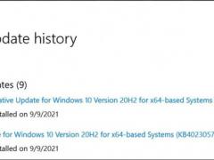 ΢طKB4023057ΪWin11/Win10 21H2׼