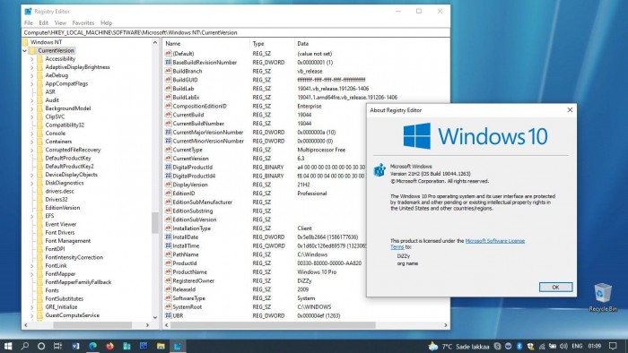 Win10 21H2Ԥ10ʽհBuild 19044.1263