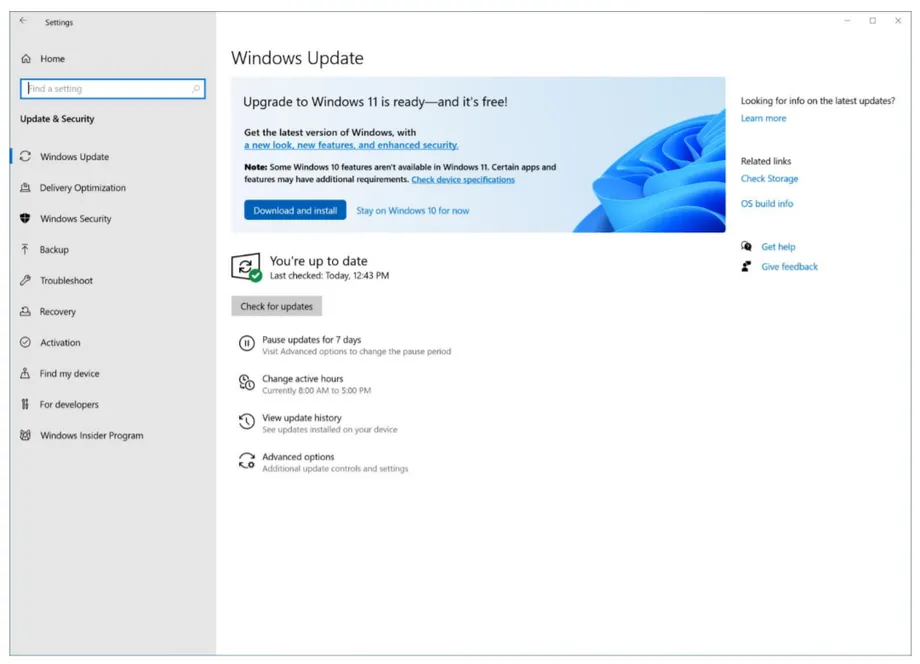 Windows10Windows11