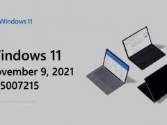 ΢ Windows 11 KB5007215 
