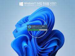 ΢ٷWin11 Insider Preview 10.0.22000.51ϵͳ