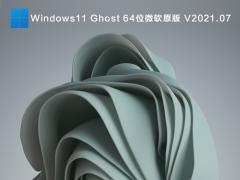 Windows11_΢ԭ Win11 64λ V2021.07