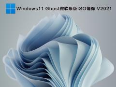 ΢ԭ Ghost Win11 ISO V2021.07
