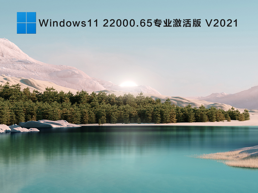 Win11רҵ_⼤ Win11 64λ V22000.65