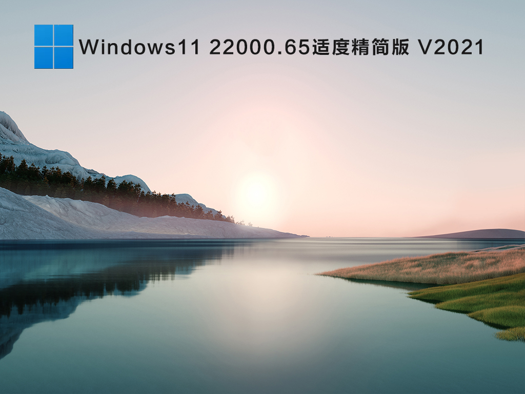 ΢ٷ Win11 64λ V22000.65 