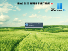 ΢ Win11רҵ 64λ 22000.258 