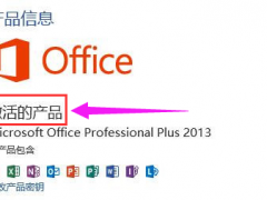 Microsoft office 2013ƷԿ_2020  ¸