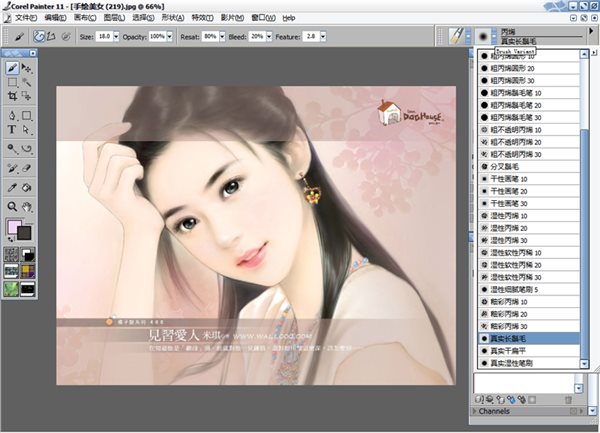 Corel Painter 11ʽ