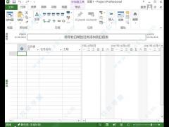 Microsoft Project 2013¼