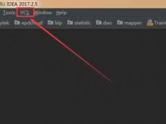 IntelliJ IDEA 2019Ŀķ