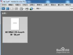 Adobe Acrobat 9 proô༭pdf
