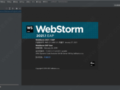 WebStorm2021_WebStormü