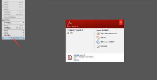 adobe acrobat reader dcĵķ