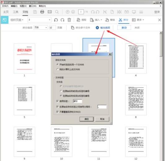 adobe acrobat reader dcpdfķ