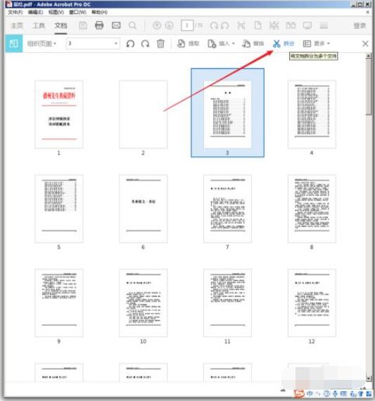 adobe acrobat reader dcpdfķ