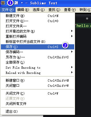 Sublime Text 3python