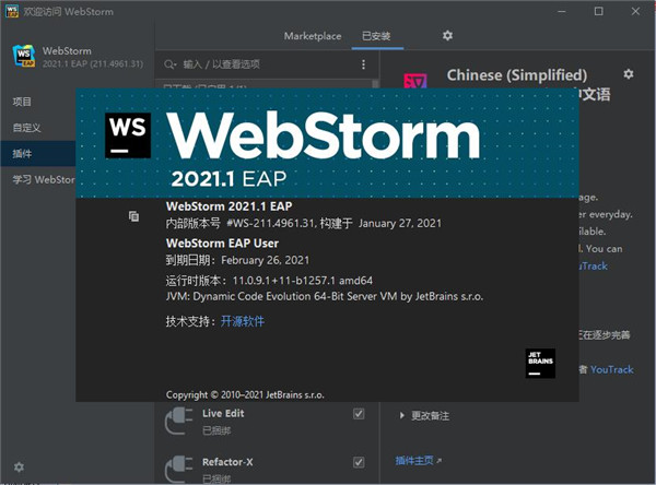 Ч_WebStorm 2021