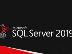 SQL Serverü_SQL Server 2019