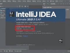 IntelliJ IDEAѼIntelliJ IDEA 2021