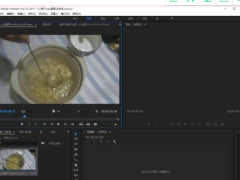 Adobe Premiere Pro CCĻķ