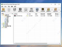 漤Internet Download Managerע