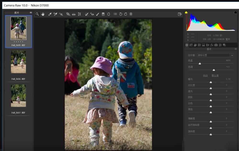 PhotoshopCamera Raw޷Ƭô죿