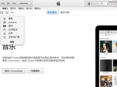 iTunesμiPhoneiPad