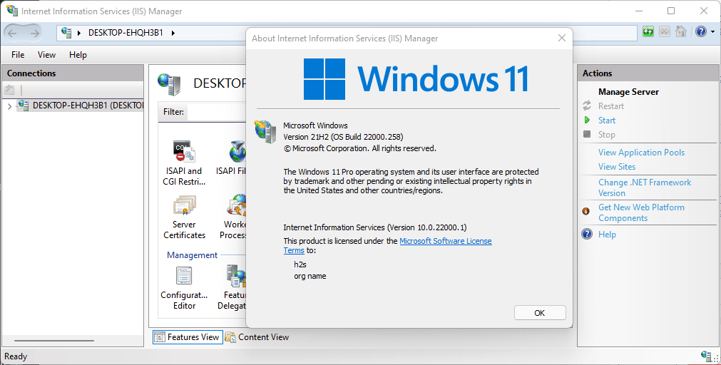 ΢Win11ϵͳ IIS Web ļ