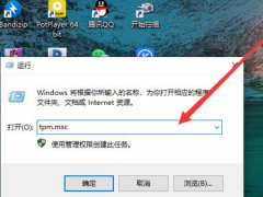 Win11ϵͳ鿴TPM2.0ģķ