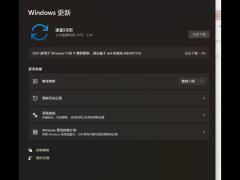 KB5007215װʧô죿Win11װKB5007215ʧ