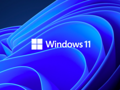 Windows11ֵֵø£