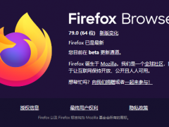 MozillaFirefox 79.0£ΪWindowsṩͼ