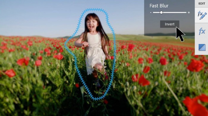 Adobe Photoshop/Premiere Elements 2021